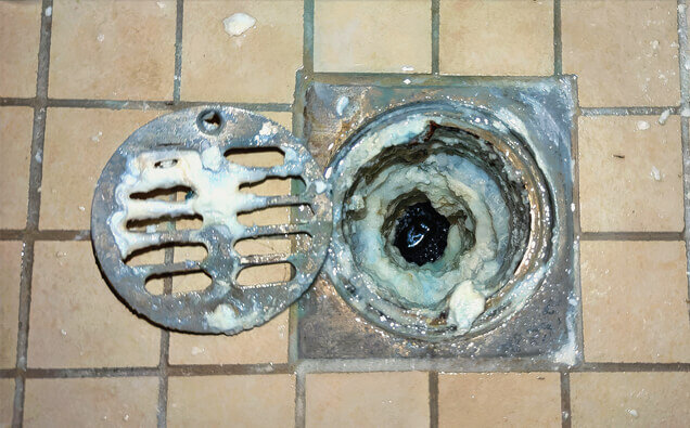 https://blockeddrainsmelville.com.au/uploads/2025/07/blocked-shower-drains-33151.jpg