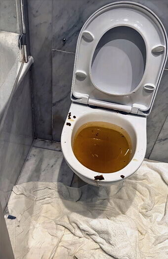 https://blockeddrainsmelville.com.au/uploads/2025/07/blocked-toilet-27793.jpg