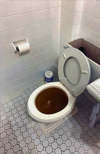 https://blockeddrainsmelville.com.au/uploads/2025/07/blocked-toilet-42230.jpg