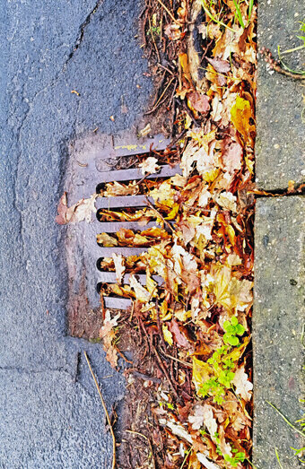 https://blockeddrainsmelville.com.au/uploads/2025/07/stormwater-drains-48051.jpg
